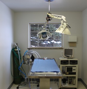 Surgery Suite